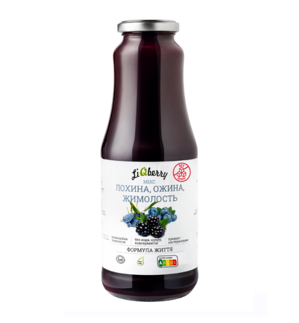 ЛОЖ 1л слайд сайт