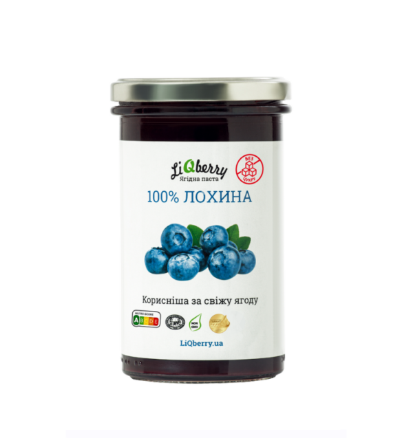 лохина 545 слайд